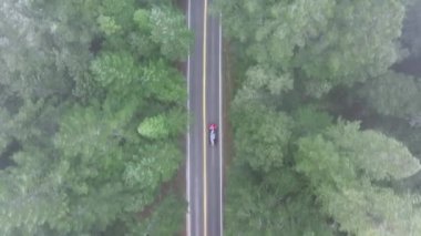 Redwood National ve State Parks, Kaliforniya 'da hızla giden bir otomobilin insansız hava aracı görüntüsü. Ormandaki ağaçların tepelerinde sis bulutları sürükleniyor. Pistte kırmızı otomobil sürüşünün üst görünümü, 4k görüntü 