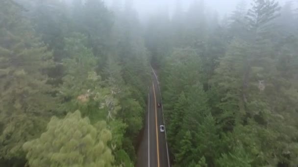 在美国加利福尼亚州红杉国家公园和州立公园的高速公路上飞驰的无人驾驶汽车后面的无人机 从空中俯瞰穿过荒原森林的汽车的道路 浓雾覆盖树梢 4K镜头 — 图库视频影像