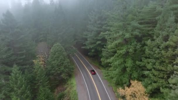 美国加利福尼亚州红杉国家公园和州立公园的林子里 鸟瞰着现代汽车的景象 晨雾蒙蒙的森林景观 针叶树 薄雾覆盖 4K片断 — 图库视频影像