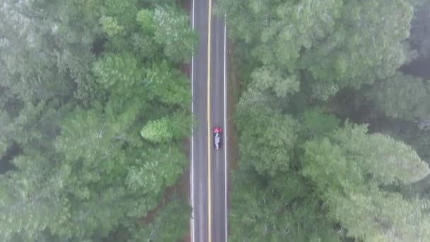 Drone Shot Automobile Moving Fast Road Redwood National State Parks — Stock Video