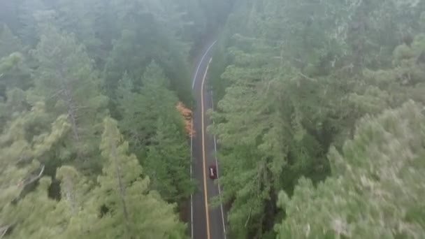 Ilmakuva Valtatie Kulkee Redwood National State Parks Kalifornia Usa Yleisnäkymä — kuvapankkivideo