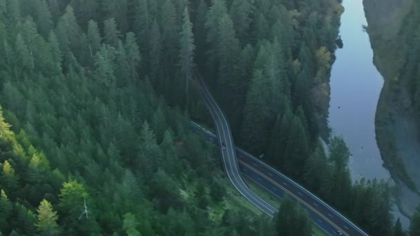 美国加利福尼亚州红杉国家公园和州立公园防御森林的空中景观 森林里有河流 俯瞰着美丽的风景 汽车在路上行驶 4K镜头 — 图库视频影像