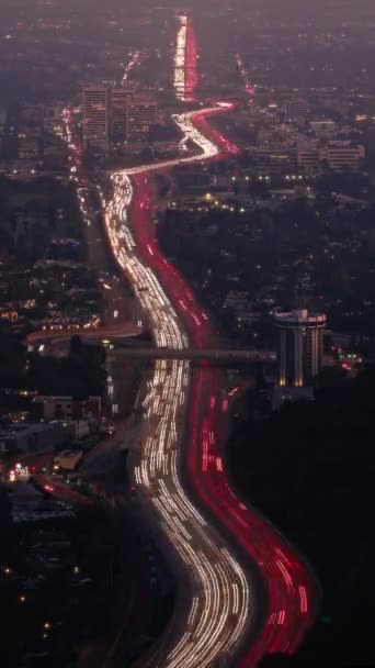 在洛杉矶的大城市里 面向垂直视频移动的时间在夜间快速移动的明亮的夜行中消逝 以白色大灯和红色的小道 明亮的街道建筑 眺望道路 — 图库视频影像