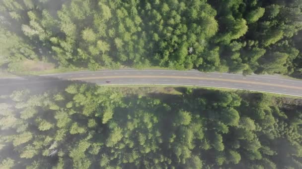 アメリカ合衆国カリフォルニア州レッドウッド国立公園に沿って道路を走行する車のトップビュー 朝霧の中を突き抜ける森の中のハイウェイの空中観察 木の上に漂う雲 4K映像 — ストック動画
