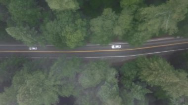 Redwood National ve State Parks 'ın Kaliforniya, ABD' deki vahşi ormanlık alanındaki en iyi yol manzarası. Orman ağaçlarının arasından sisli bulutları seyreden asfalt otobanının insansız hava aracı görüntüsü. Siste boş yol, 4K görüntü 