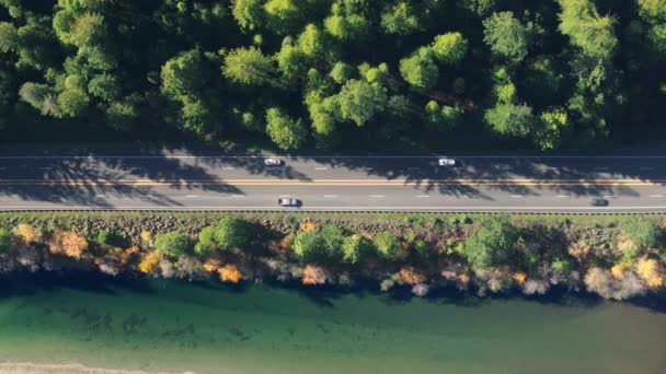 Вид Сверху Асфальтированную Дорогу Ведущими Автомобилями Национальных Парках Парках Штата — стоковое видео