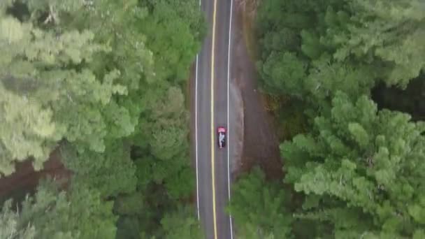 美国加利福尼亚州红杉国家公园和州立公园的红色现代汽车在路上行驶的最高视图 在绿林中的高速公路上行驶的汽车的头顶镜头 晨雾中的密林 4K镜头 — 图库视频影像