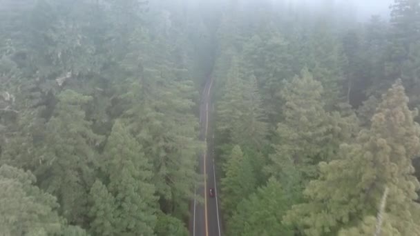 在美国加利福尼亚州红杉国家公园和州立公园的高速公路上飞驰的无人驾驶汽车后面的无人机 从空中俯瞰穿过荒原森林的汽车的道路 浓雾覆盖树梢 4K镜头 — 图库视频影像
