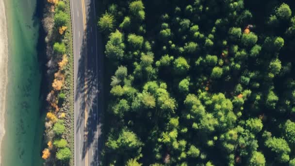 レッドウッド国立公園 カリフォルニア州 アメリカ合衆国で車を運転するアスファルト道路のトップビュー 緑の森 ハイウェイ 川をイメージした風景 コピースペースのある野生の森の木のトップ — ストック動画