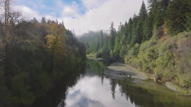 Drone Flying River Surface Redwood National State Parks California Usa — Vídeo de stock