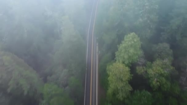 美国加利福尼亚州红杉国家公园和州立公园雾蒙蒙的道路鸟瞰 飞行员驾驶着汽车在高速公路上飞过森林景观 树梢被晨雾覆盖 4K镜头 — 图库视频影像