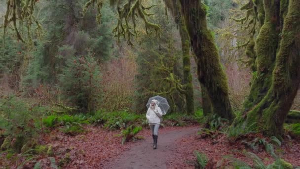 一个穿着舒适的白色外套和贝尼的孤独的流浪者探索着太平洋西北部的森林 它的地面是苔藓和蕨类脚下的挂毯 影像4K — 图库视频影像