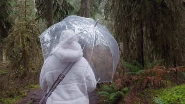 真っ白なジャケットに包まれた人は 霧の森の中に透明な傘の下に立って 孤独の静かなテーブルを作ります フッテージ — ストック動画