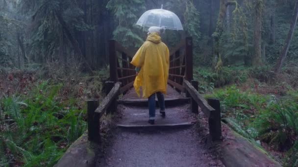 노란색 코트와 우산을 외로운 인물은 안개가 다리를 부드럽게 통과하여 고독감을 — 비디오