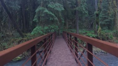 Kamera, ıssız ve yemyeşil bir ormanın yemyeşil yemyeşil ormanına giren taşralı metal bir köprüyü geçiyor. Çekim 4K. 