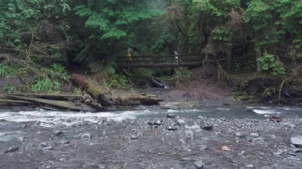 Parlak Sarı Yağmurluklu Bir Yürüyüşçü Kayalık Bir Derenin Üzerinden Sakin — Stok video