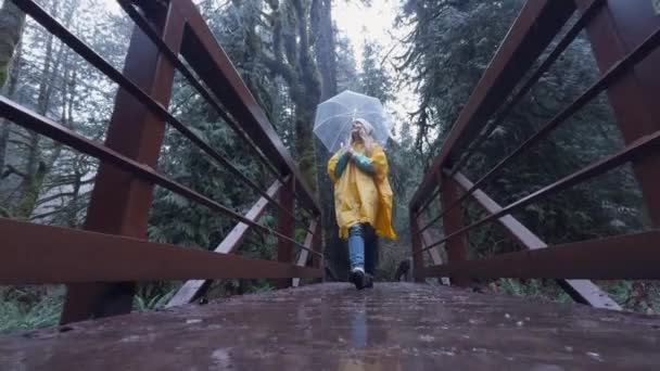 Женщина Ярко Желтом Пальто Прозрачным Зонтиком Созерцает Природу Проходит Мосту — стоковое видео