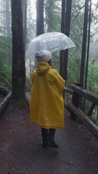 バーティカルビデオ 若い女性は静かな雨の中 森の中を散策し 透明な傘で保護された黄色いレインコートで覆われています フッテージ — ストック動画