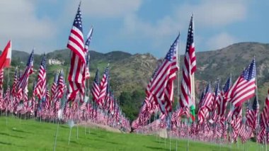 Tek bir kuş, 11 Eylül 'de kaybedilen masum hayatları temsil eden çok sayıda Amerikan bayraklarının arasına tünedi. Ağır çekim. Çekim 4K. 