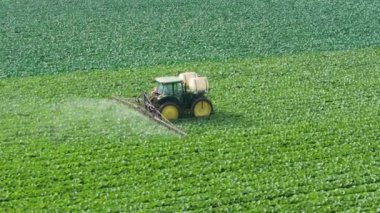 Yeşillik alanların arasında, bir traktör, modern tarım yeniliğinin bir vasiyeti olarak, çevre dostu ekin ilaçlamasını etkili bir şekilde yürütüyor. Çekim 4K. 
