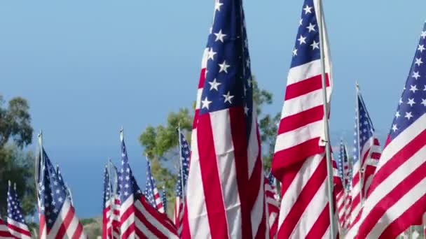 Solemn Tribute Rows American Flags Ripple Breeze Each One Representing — Stock Video