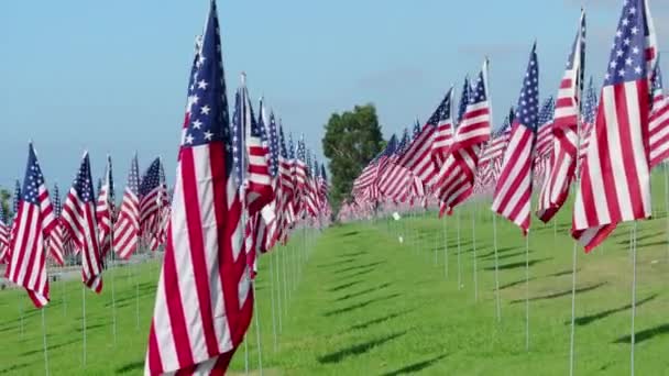 Жорстокий Пейзаж Американських Прапорів Стоїть Мовчазний Свідок Птахом Втілює Надію — стокове відео