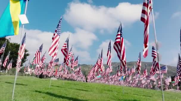Γραμμές Των Σημαιών Αποτελούν Απόδειξη Της Ανθεκτικότητας Και Της Μνήμης — Αρχείο Βίντεο