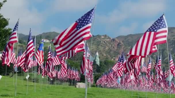 在为纪念9 11恐怖袭击而举行的大规模星条旗仪式上 一只鸟的倒影场景落在一面旗帜上 慢动作影像4K — 图库视频影像