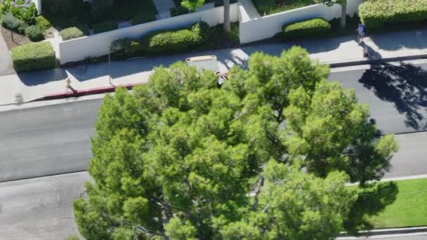 ロサンゼルス カリフォルニア 道路再浮上プロセスマート4 2024 機械と労働者が都市の拡張の努力で忙しい道路建設現場の鳥の視界 フッテージ — ストック動画