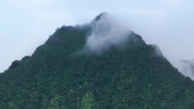 Yeşil orman zirvesinin dramatik manzarası. Havai 'de bulutlu bir günde Kualoa çiftliği. Manzaralı, tropikal doğa manzarası. Dron yağmurlu dağ sırtı üzerinde uçuyor. Oahu adasında açık hava macerası