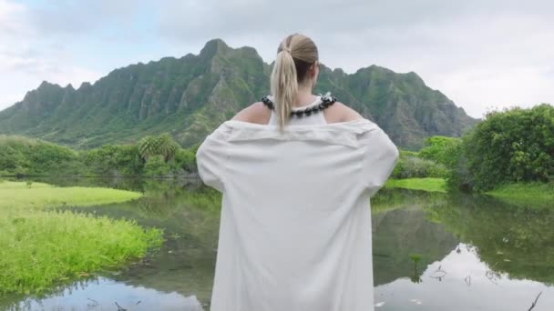 映画のジュラシック山を楽しむ旅行者の撮影 オアフ島4Kの壮大な自然景観での観光客のバックビュー ハワイ島の劇的な自然を賞賛するエレガントな女性のバックビュー — ストック動画