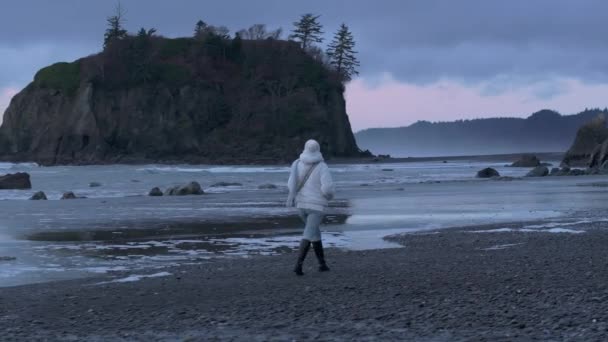 Žena Uvažující Filmové Ruby Beach Dramatická Přírodní Anténa Turistka Prozkoumávající — Stock video