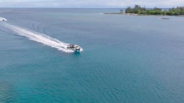 Küçük sürat teknesi Haleiwa Limanı 'na manzaralı mavi Pasifik Okyanusu' ndan giriyor. Köpekbalıklarıyla birlikte Oahu Adası 4K 'nın kuzey kıyısına dalıyoruz. Yazın güneşli havalarda Hawaii 'de su sporu etkinliği