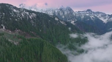 Kuzey Cascades 'teki sisli dağ vadisi pembe günbatımında. Ebedi yeşil ormanı olan güzel kış dağları. Spruce Ormanı 'ndaki manzara sisi. Washington 'da bulutlar sürükleniyor Sinema sisi sürünüyor
