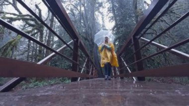 Canlı sarı ceketli yalnız bir kadın, elinde temiz bir şemsiyeyle ormanda sisli bir köprüden geçiyor. Yağmur yağıyor. Çekim 4K. 