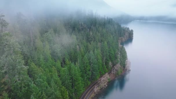 Luftaufnahmen Einer Immergrünen Waldstraße Olympic National Park Mysteriöser Nebel Bedeckt — Stockvideo