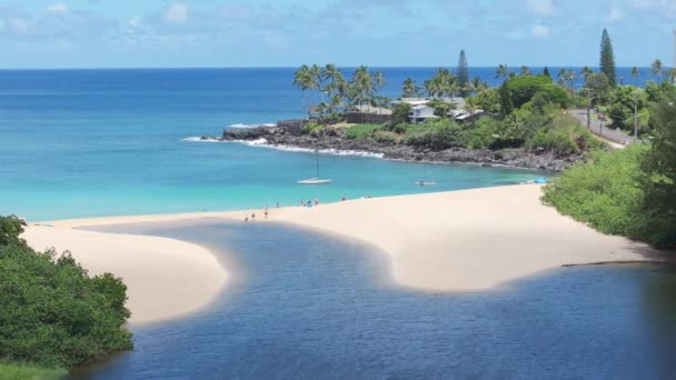 Ihmiset Nauttivat Lomasta Kauniilla Hiekkarannalla Havaijin Saaren Maisema Waimea Valley — kuvapankkivideo