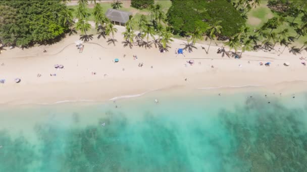 아래로 배경에 항공기는 이국적인 섬에서 휴가를 즐기는 사람들 쐈습니다 오아후 — 비디오