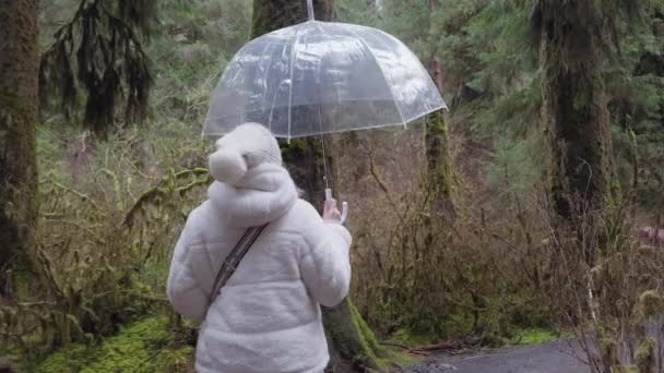 濃い森に囲まれた 白いコートの波の姿は喜んで 静かな森のトレイルに明確な傘の下に立っています フッテージ — ストック動画