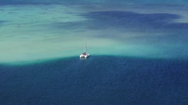 Білий Катамаран Туристами Досліджує Мілководдя Березі Острова Оаху Популярна Туристична Відеокліп