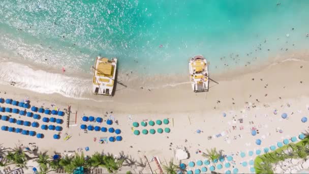 島の自然コピーの背景 ハワイ州トロピカルオアフの夏休み 夏休みを楽しんでいる空中の人々を率いる ブルーウォーター4Kで泳ぐ家族 トップダウンビュー美しいワイキキビーチ ロイヤリティフリーのストック動画