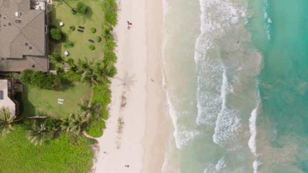 透明なターコイズ海面 ティールグリーン海岸のドローンショット オアフ島4Kにあるカイルアの町サーファースポット 夏休みコピーの背景について ビーチで明るい青い波の上のオーバーヘッド空気 — ストック動画