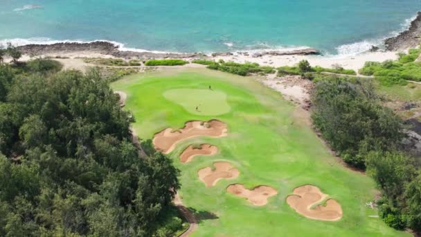 太平洋のタートルベイゴルフの空中ビュー 海を望むグリーンゴルフコースの風光明媚なドローンショット 美しいゴルフ場 人々は夏の日にスポーツ活動を楽しんでいる オアフ島のゴルフスポーツ — ストック動画