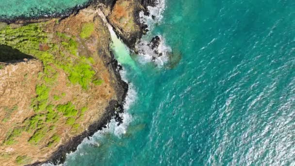 ハワイ島のユニークな環境のトップダウン 中国の人間の帽子と呼ばれる有名なランドマーク島 晴れた夏の日にモルコイ火山島の航空機のまだ撮影 オアフの旅行先 アメリカの観光 ストック動画