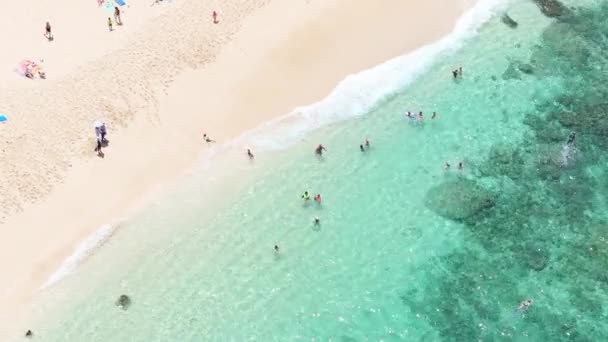 透明なテールブルーウォーターでシュノーケリングを楽しんでいる人々の上の空中撮影 夏休みには透明な海で泳ぐ子供たち サンディビーチオアフハワイ島の人々 — ストック動画