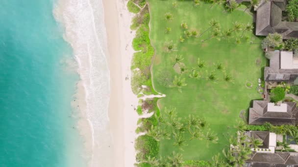 暑假复印背景 在浅蓝色波浪之上的头顶空中 在海滩上 清澈的绿松石海洋表面 汽笛拍打着绿色的海洋海岸 夏威夷岛4K的Kailua镇冲浪点 — 图库视频影像