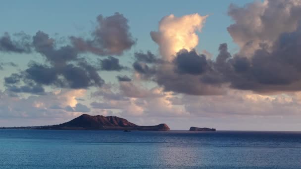 Isola Forma Tartaruga Nella Baia Riva Ventosa Dell Isola Oahu — Video Stock
