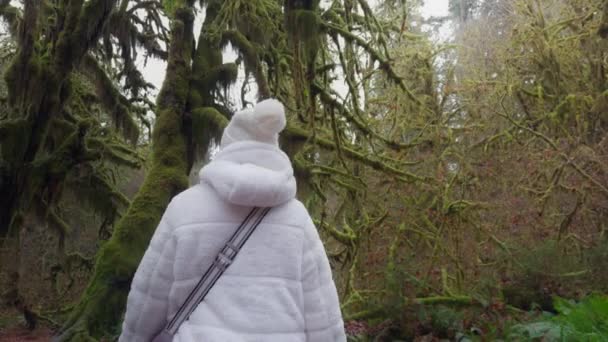 披着白色冬衣和帽子的孤独的身影徘徊在迷人的苔藓覆盖的森林中 这是一个宁静美丽的国度 影像4K — 图库视频影像