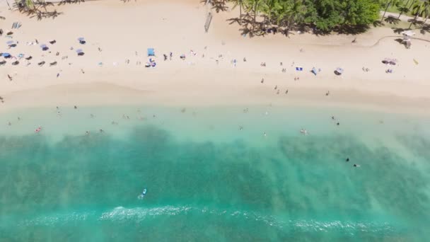 ハワイ島の主要旅行先であるオアフ島の熱帯ビーチ アメリカの観光 バックグラウンド上空の楽園での休暇 エキゾチックな島で夏休みを楽しんでいる人々の上に撮影されたドローン — ストック動画