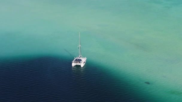 Popularne Atrakcje Turystyczne Snorkelingu Hawajach Widok Lotu Ptaka Szczęśliwi Ludzie — Wideo stockowe